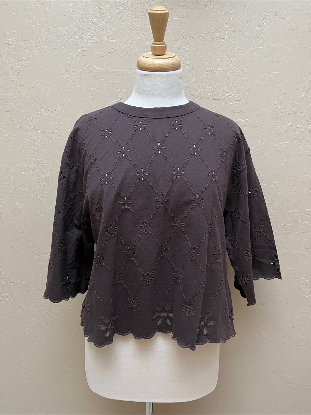 Madewell Embroidered Boxy Crop Top in Allday Jersey, Brown, sz S, NWT